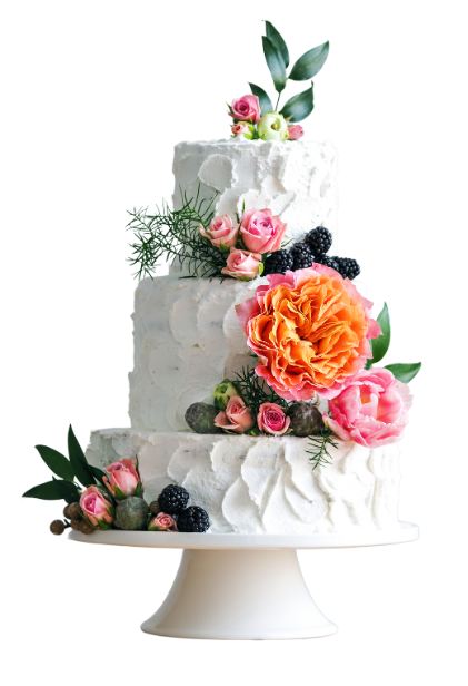 Screenshot 2024-06-05 111200 Cake