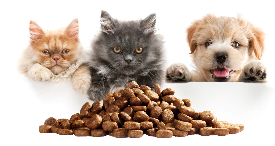 Pet Food